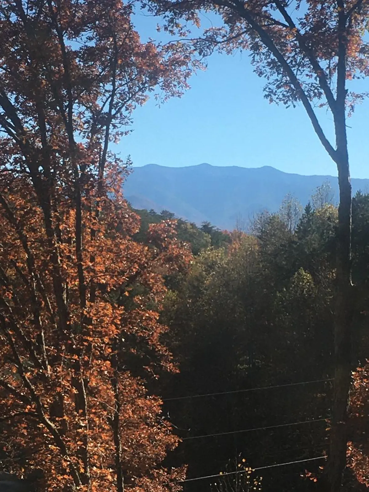A wide, sweeping view of majestic mountains bathed in sunlight, with vibrant autumn foliage blazing across the landscape under a clear blue sky. The scenery is immersive and awe-inspiring, capturing the essence of the Smoky Mountains in all their natural glory.
